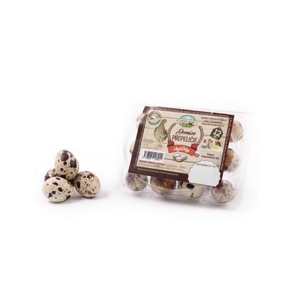 VAJCIA PREPELIČIE 12ks