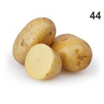 ZEMIAKY KONZUMNÉ NESKORÉ „B“