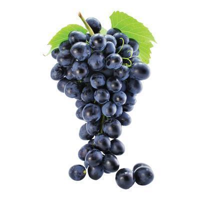 HROZNO TMAVÉ BEZKÔSTKOVÉ 500g