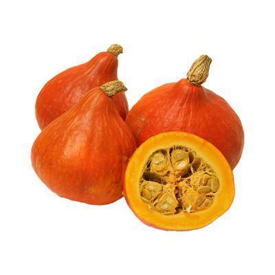 TEKVICA HOKAJDO /VÁHA/