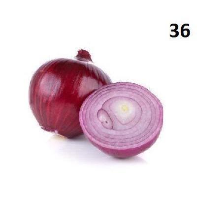 CIBUĽA ČERVENÁ SUCHÁ